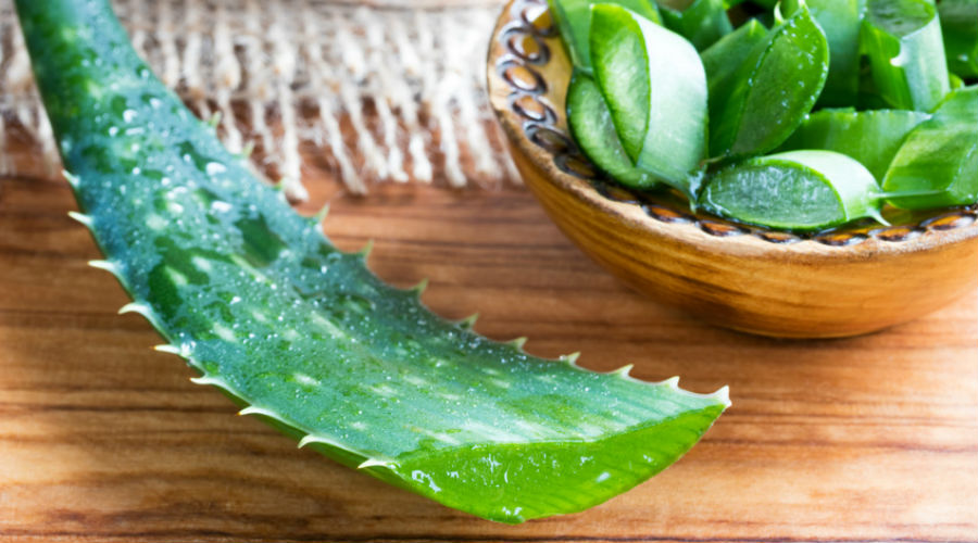 Aloe 20vera