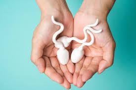 Ameliorer la qualite de sperme