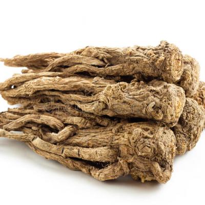 Angelica sinensis traditional chinese medicine commonly known as dong quai female ginseng herb family apiaceae 39378748