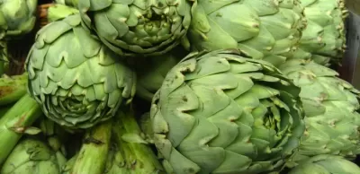 Artichoke against hepatic steatosis