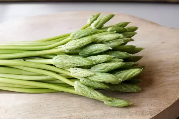 Asperges sauvages