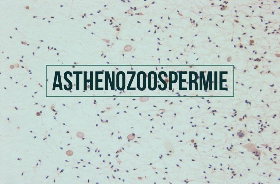 Asthenozoospermie remede naturel