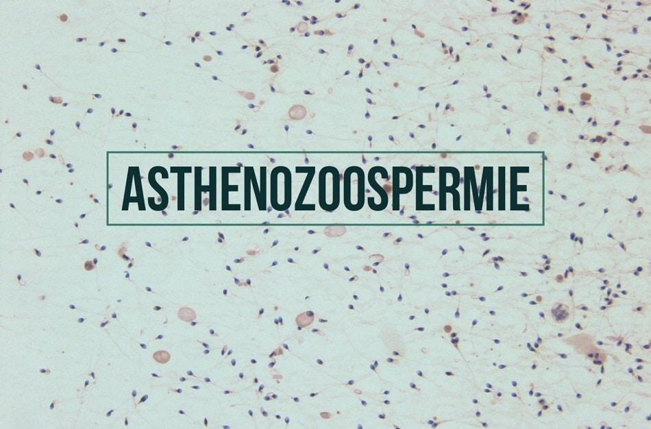 L'asthénospermie et l'infertilité masculine : traitements et solutions naturelles