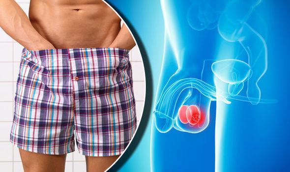 Soigner l'atrophie testiculaire avec les plantes