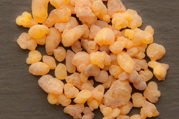 Boswellia