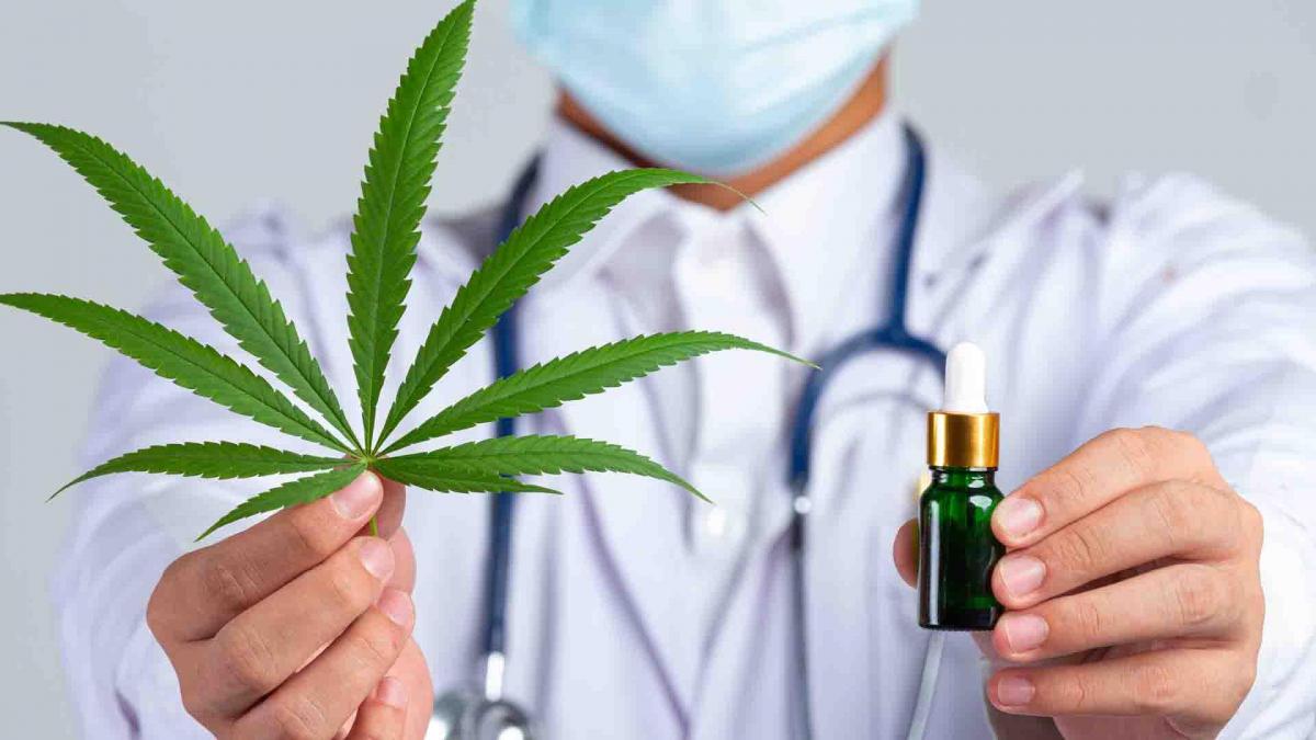 Le cannabis médical contre l'épilepsie