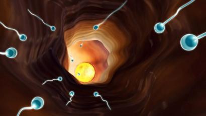 Cryptozoospermie Traitement naturel ou chirurgical ?