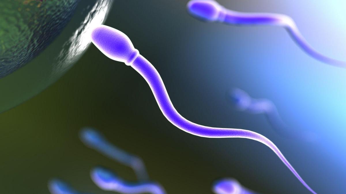 Soigner naturellement la cryptozoospermie