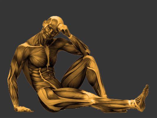 Polymyosite et maladies musculaires: traitement naturel