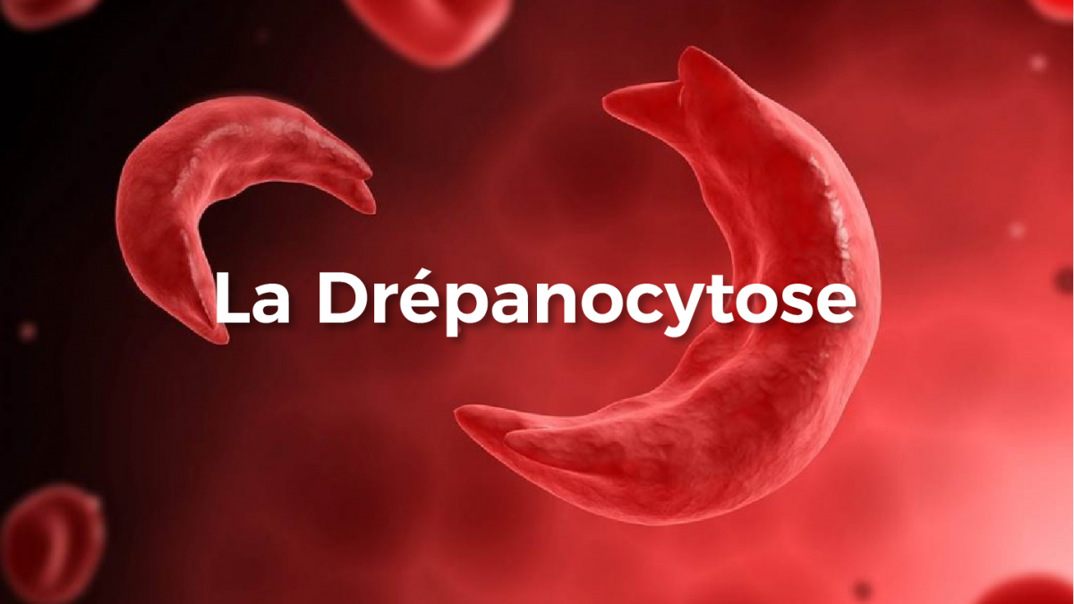 Plantes contre la drépanocytose