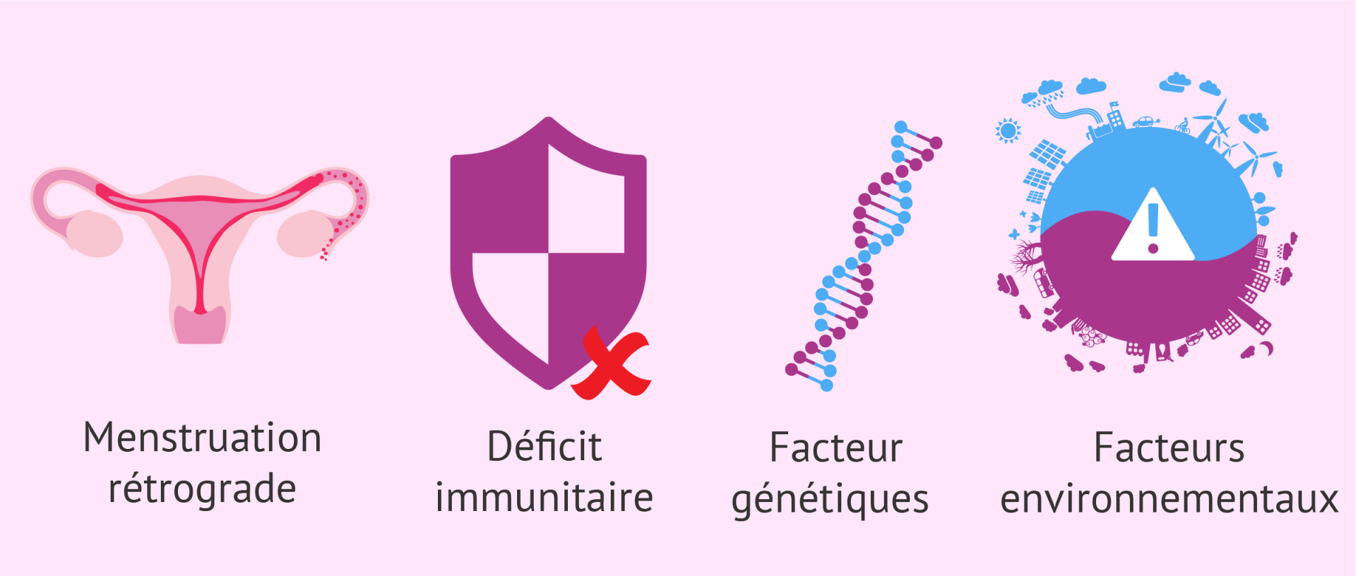 Endometriose causes