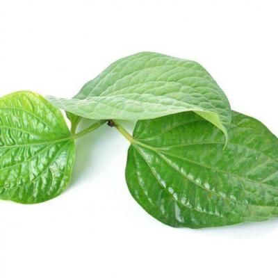 Betel sheet for testicles