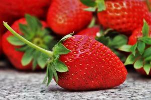 Fresas fertilidad