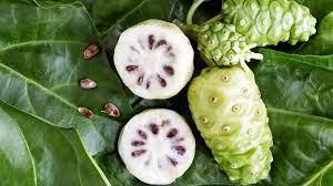Fruits de noni mu rs