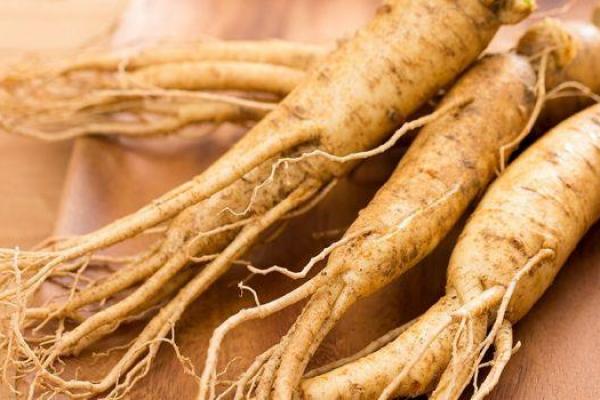 Ginseng contre l oligospermie