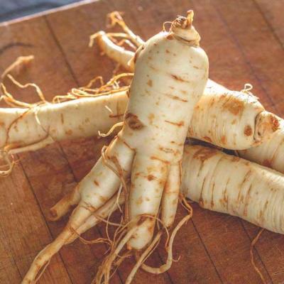 El ginseng es un afrodisiaco