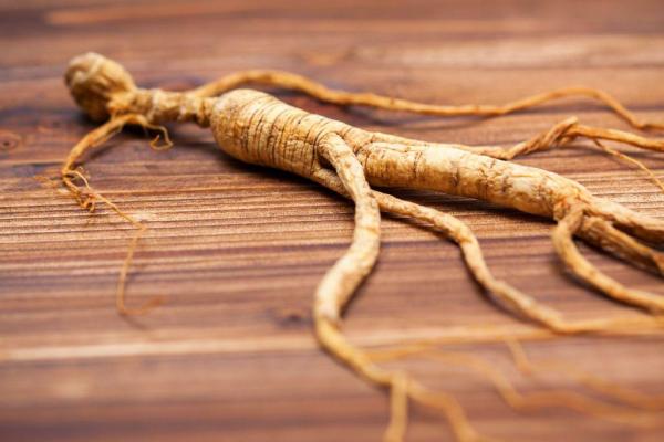 Ginseng1