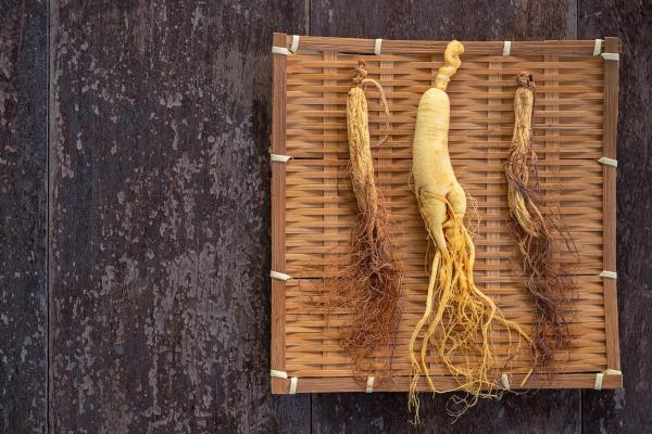 Ginseng2