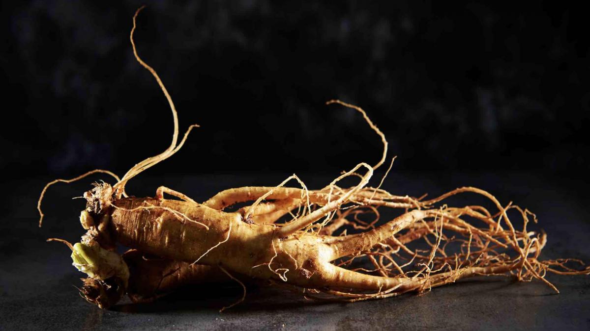 Comment utiliser le ginseng contre l'hyperprolactinémie ?