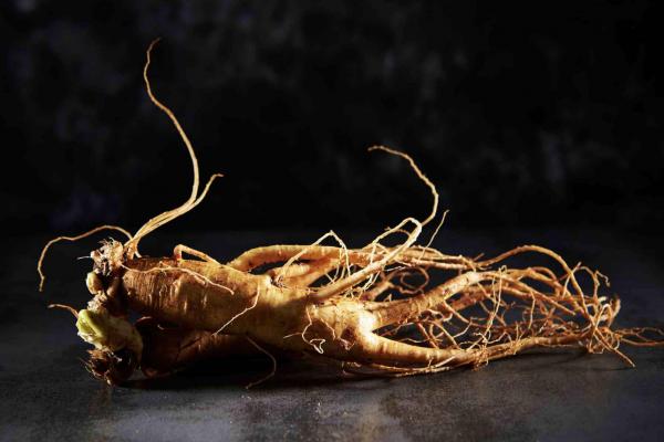 Ginseng4