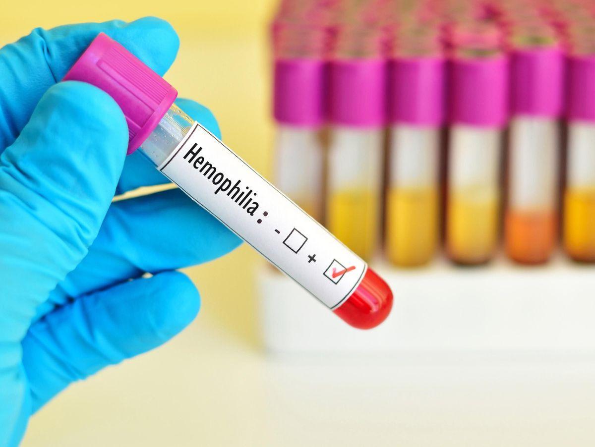 Plantes contre l'hémophilie