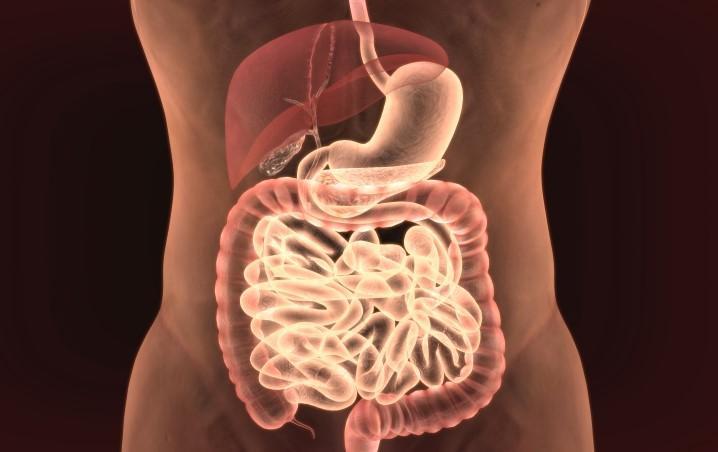 Hépatomégalie: causes, symptômes, prevention et traitements