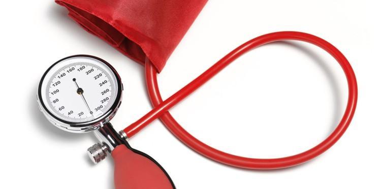 plantas para curar la hipertension