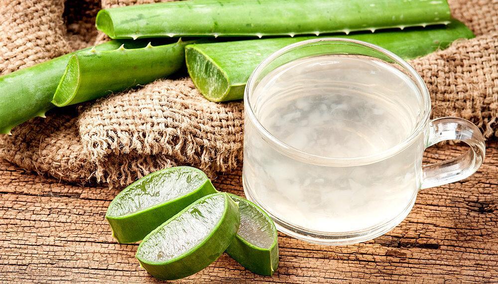 Comment utiliser l'aloe vera contre le prolapsus rectal ?