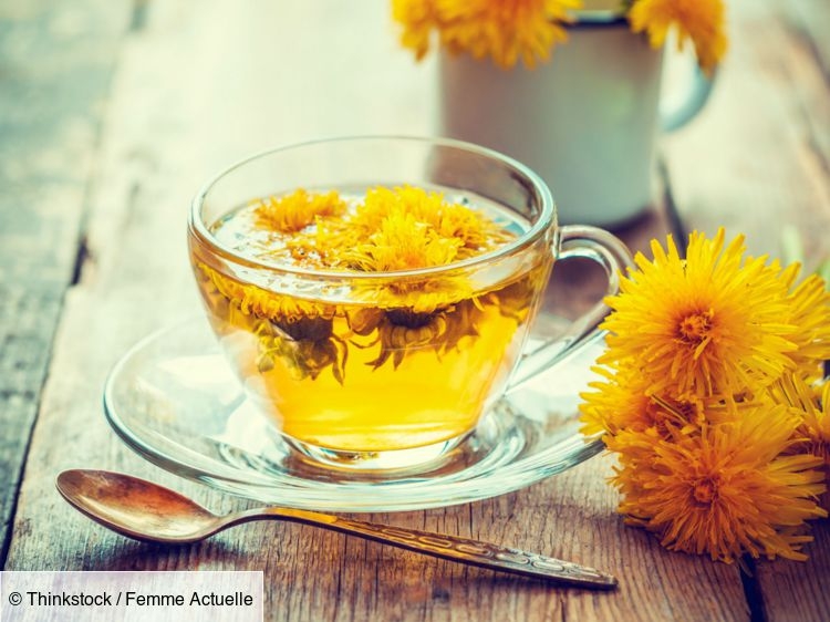 Le pissenlit traite l'hypertension artérielle