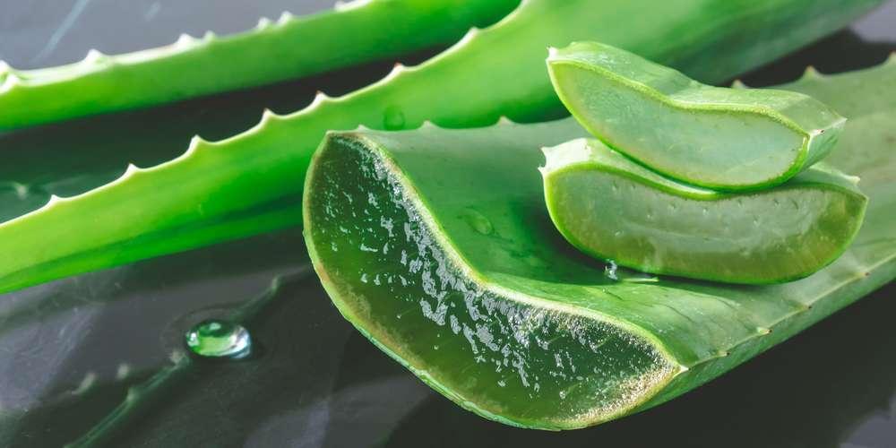 Kyste Ovarien et Aloe Véra : solution naturelle