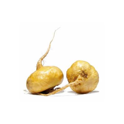 Maca en poudre bio 150g