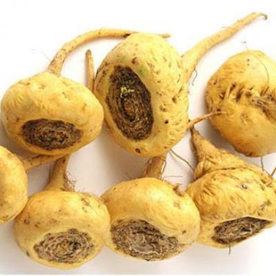 Maca pour le sperme