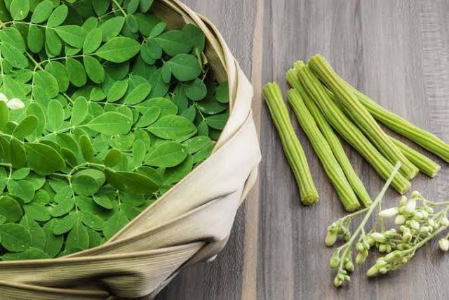 Moringa et hépatite 1