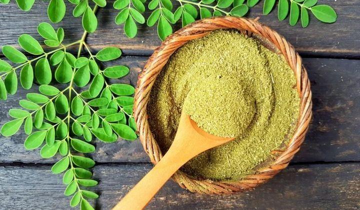 Moringa et fertilite masculine