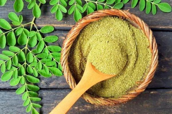 Moringa et fertilite masculine