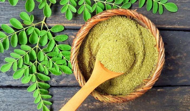 moringa et fertilité masculine
