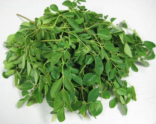 Moringa et hepatite b remede maison gratuit