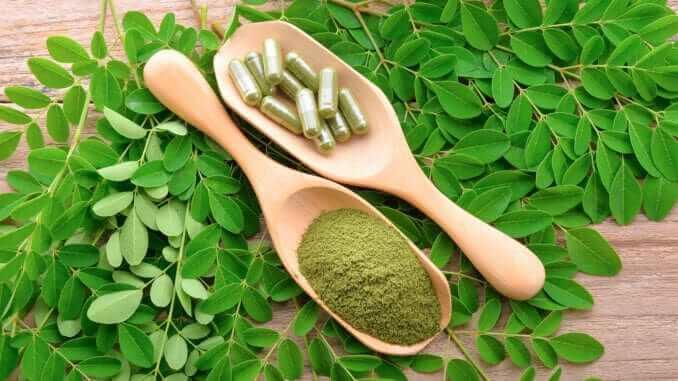 Moringa pour guérir l'hépatite 1