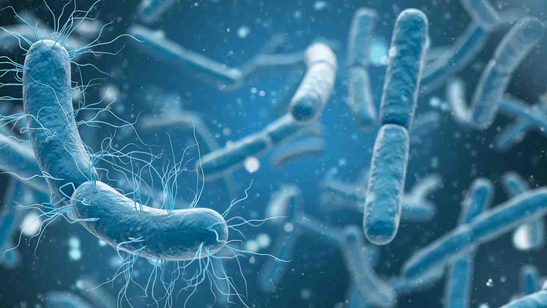 Micoplasma: Hierbas, Remedios Naturales y Consejos