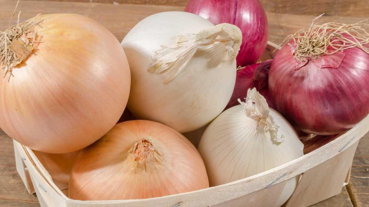 Comment utiliser l'oignon contre les fibromes