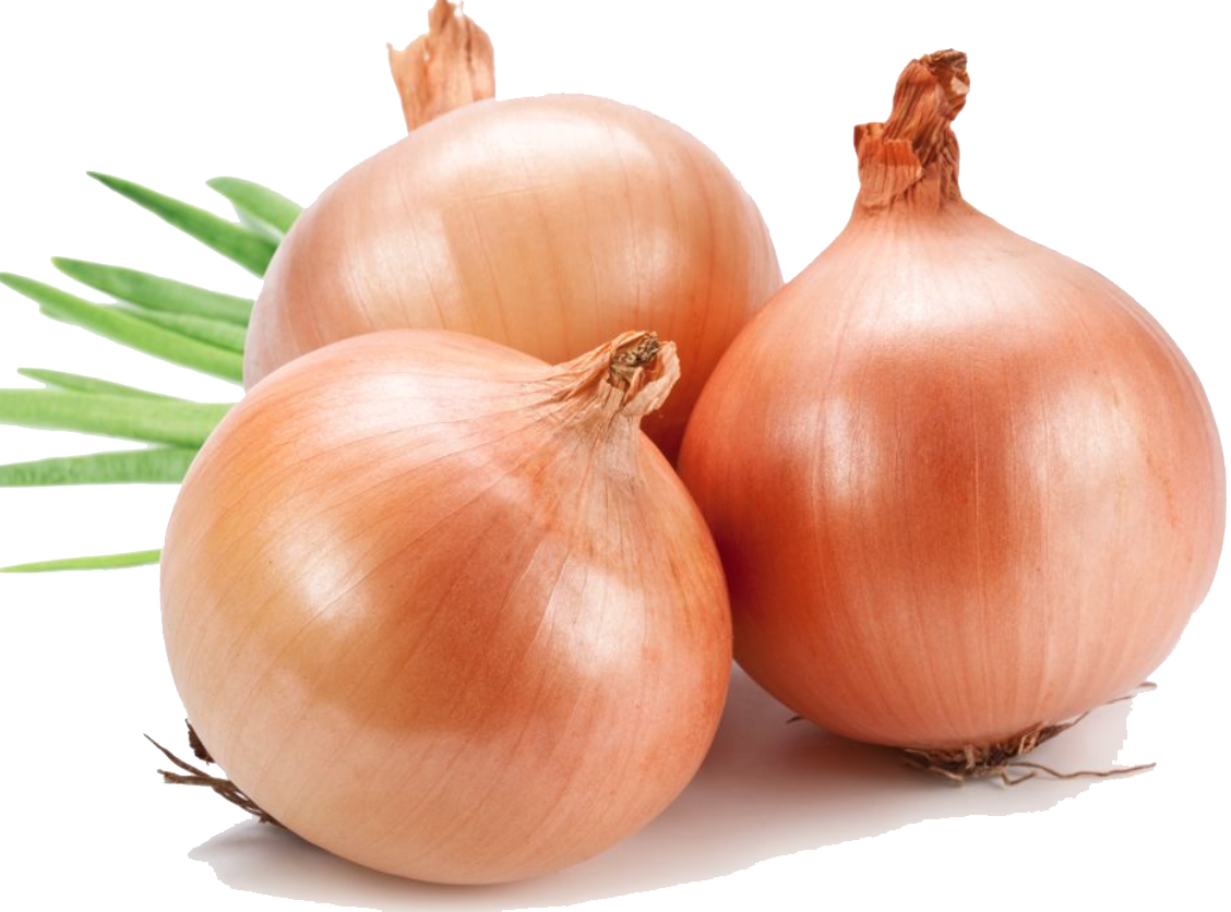 Onion and prostatitis grandmother s remedy