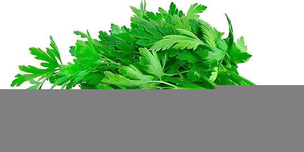 hidrocele remedio casero