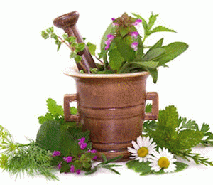 Phytotherapie plantes medicinales herbes officinales