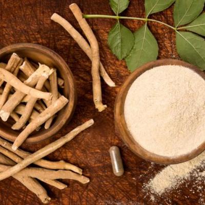 Poudre d ashwagandha est bon pour la fertilite masculine