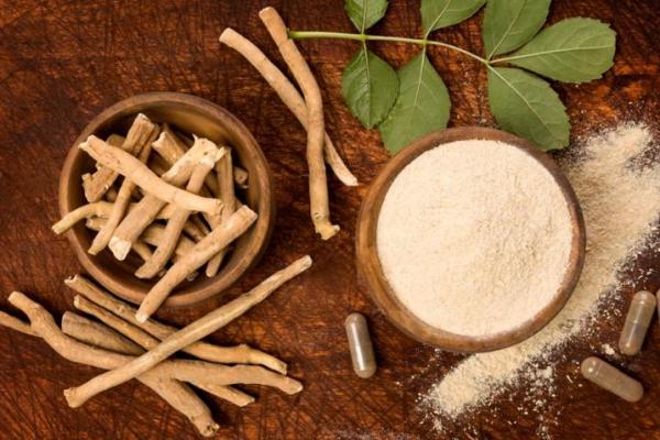 Poudre d ashwagandha est bon pour la fertilite masculine