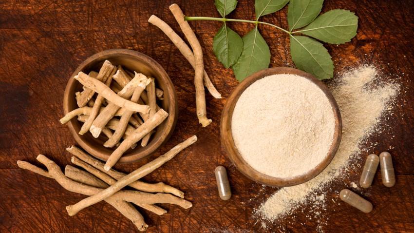 Poudre d ashwagandha est bon pour la fertilite masculine