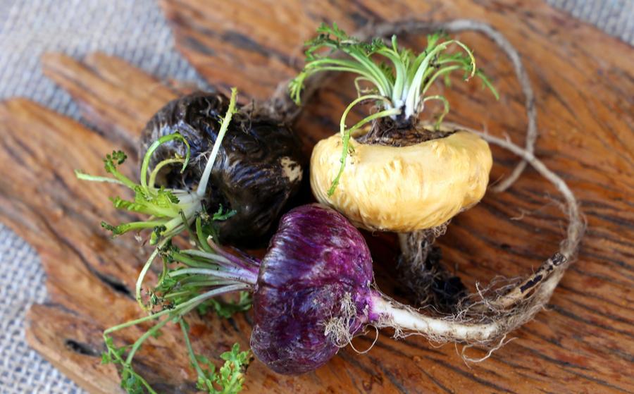 Grossir et allonger le pénis avec la maca péruviene