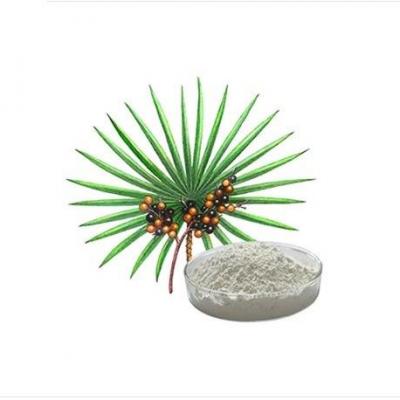 Saw palmetto pour le sperme
