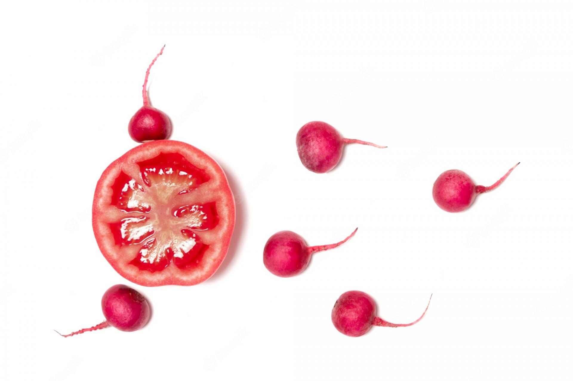 Sperme nageant direction oeuf radis rouge geant cramoisi legume rouge tomate 61573 889