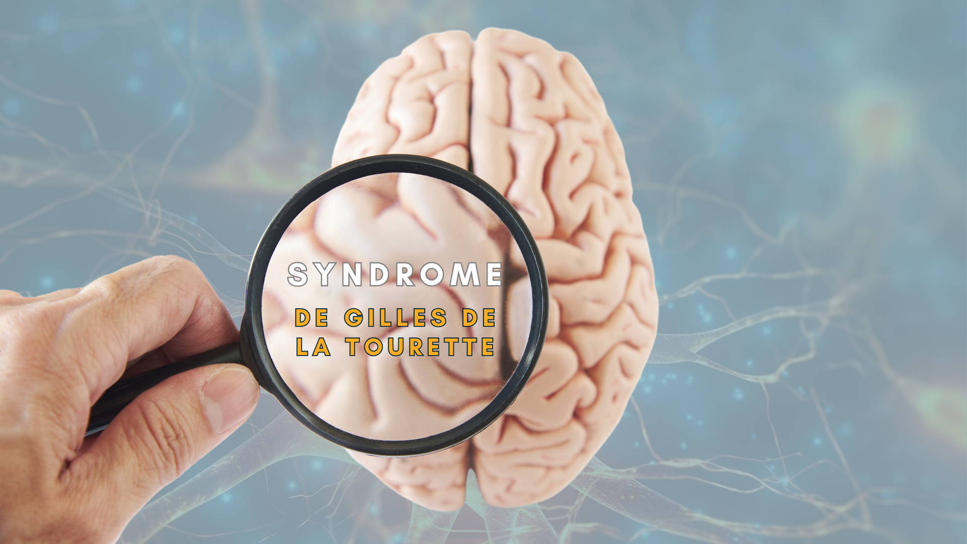 Plantes pour guérir le syndrome de Gilles de la Tourette